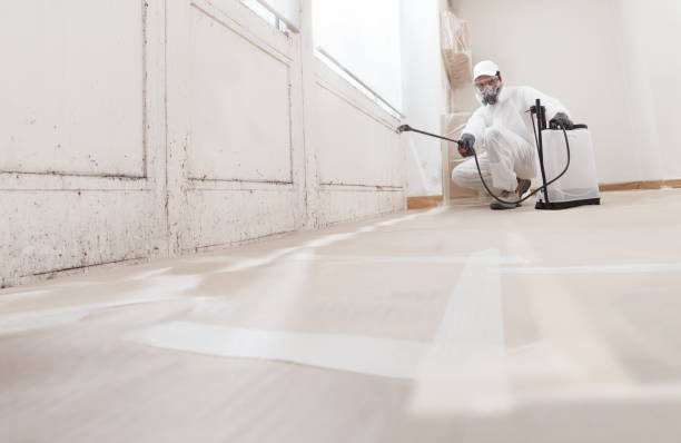 24/7 Emergency Attic Mold Removal experts in Wingate, MD
